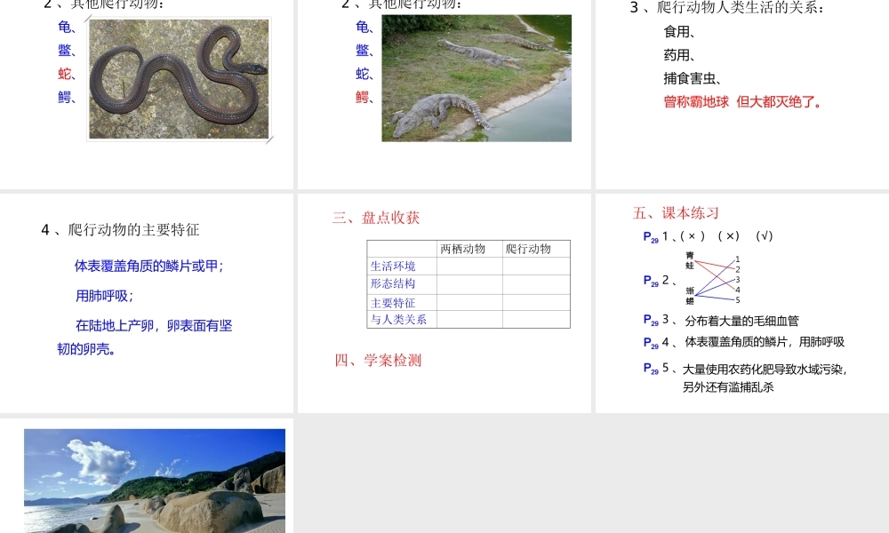 八年级生物上册 第五单元 第一章 动物的主要类群 第五节 两栖动物和爬行动物课件2 （新版）新人教版