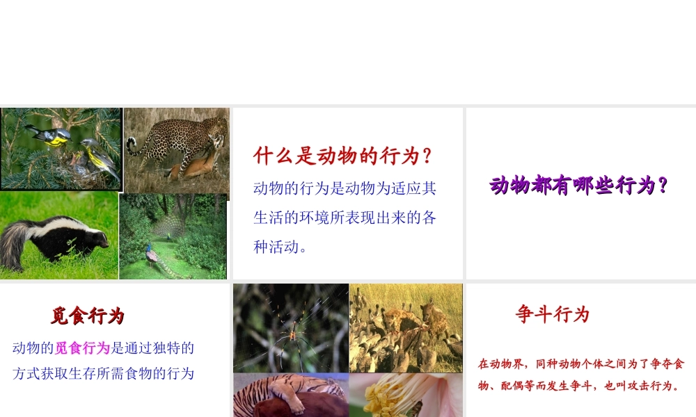 八年级生物上册 第6单元 第17章 第2节 动物的行为课件1 （新版）苏科版-（新版）苏科级上册生物课件