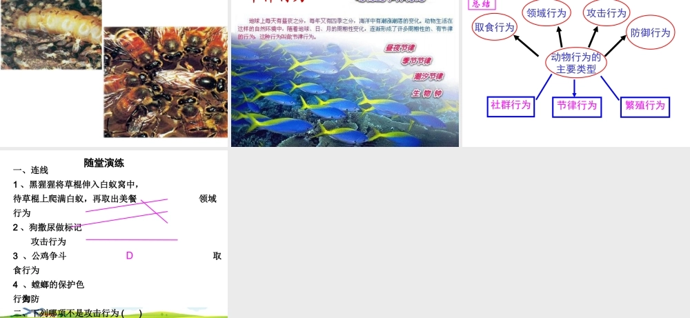 八年级生物上册 第6单元 第17章 第2节 动物的行为课件1 （新版）苏科版-（新版）苏科级上册生物课件