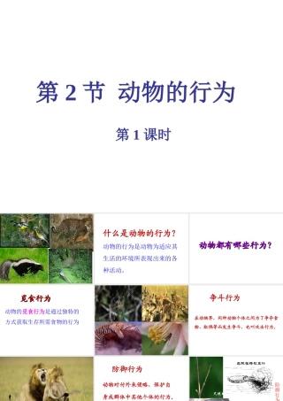 八年级生物上册 第6单元 第17章 第2节 动物的行为课件1 （新版）苏科版-（新版）苏科级上册生物课件