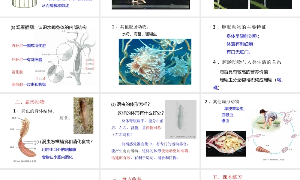 八年级生物上册 第五单元 第一章 动物的主要类群 第一节 腔肠动物和扁形动物课件 （新版）新人教版