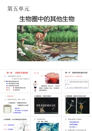 八年级生物上册 第五单元 第一章 动物的主要类群 第一节 腔肠动物和扁形动物课件 （新版）新人教版