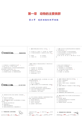 八年级生物上册 第五单元 生物圈中的其他生物 第一章 动物的主要类群第二节 线形动物和环节动物作业课件 （新版）新人教版-（新版）新人教版初中八年级上册生物课件