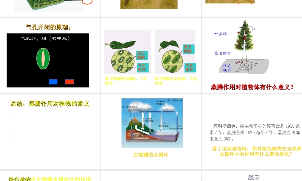 八年级生物上册 第6单元 第18章 第1节 绿色植物与生物圈的水循环课件1 （新版）苏科版-（新版）苏科版初中八年级上册生物课件