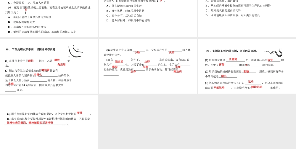八年级生物上册 第五单元 生物圈中的其他生物 第一章 动物的主要类群第二节 线形动物和环节动物作业课件 （新版）新人教版-（新版）新人教级上册生物课件
