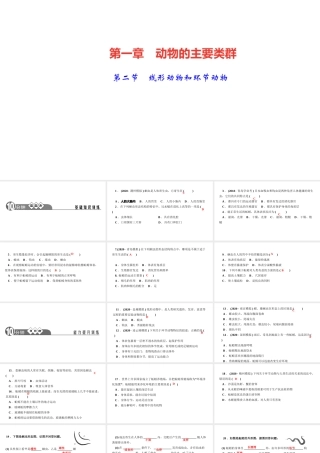 八年级生物上册 第五单元 生物圈中的其他生物 第一章 动物的主要类群第二节 线形动物和环节动物作业课件 （新版）新人教版-（新版）新人教级上册生物课件