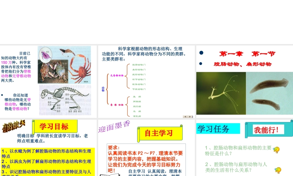 八年级生物上册 第五单元 第一章 动物的主要类群 第一节.腔肠动物和扁形动物课件 （新版）新人教版