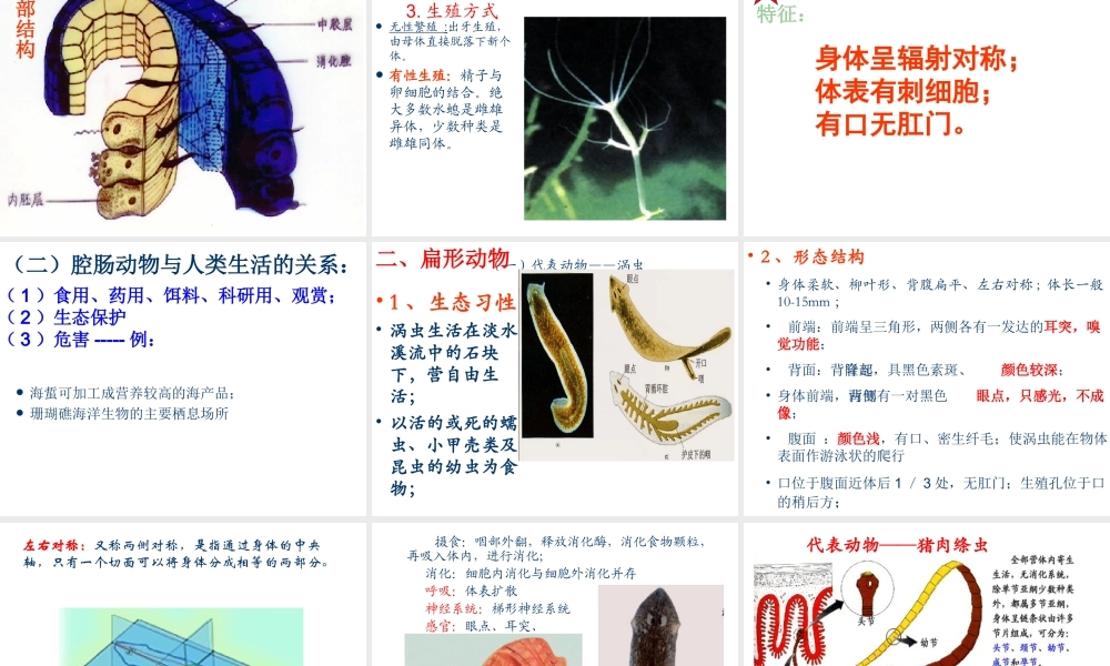 八年级生物上册 第五单元 第一章 动物的主要类群 第一节.腔肠动物和扁形动物课件 （新版）新人教版