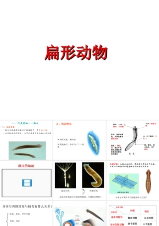 八年级生物上册 第一章 第一节 扁形动物课件 （新版）新人教版