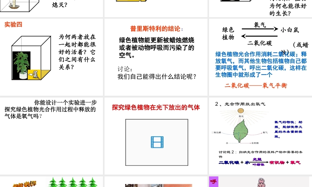 八年级生物上册 第6单元 第18章 第2节 绿色植物与生物圈中的碳-氧平衡课件1 （新版）苏科版-（新版）苏科版初中八年级上册生物课件