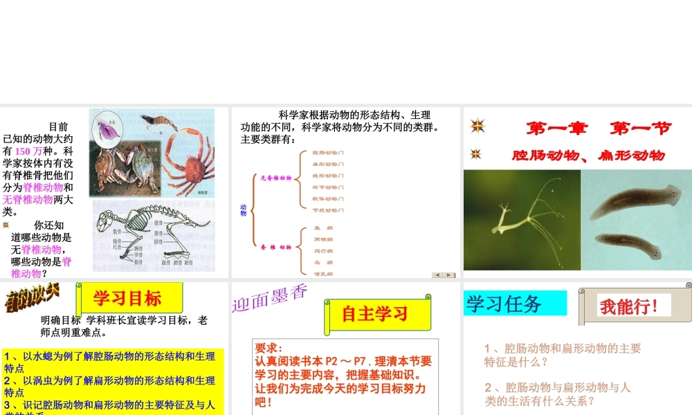 八年级生物上册 第五单元 第一章 动物的主要类群 第一节腔肠动物、扁形动物课件 （新版）新人教版