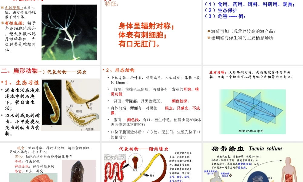 八年级生物上册 第五单元 第一章 动物的主要类群 第一节腔肠动物、扁形动物课件 （新版）新人教版