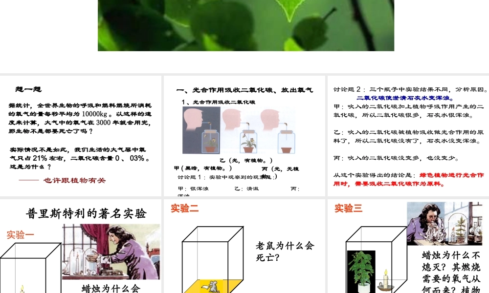 八年级生物上册 第6单元 第18章 第2节 绿色植物与生物圈中的碳-氧平衡课件1 （新版）苏科版-（新版）苏科级上册生物课件