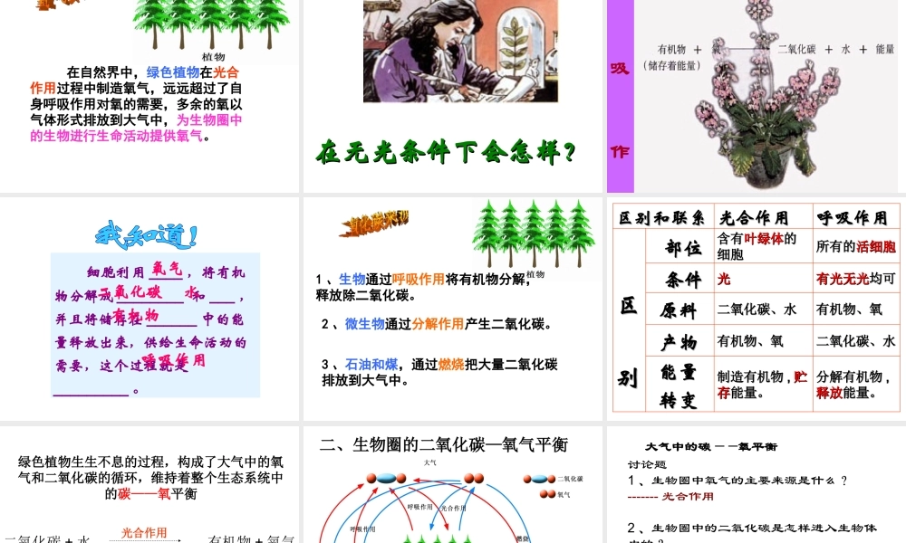 八年级生物上册 第6单元 第18章 第2节 绿色植物与生物圈中的碳-氧平衡课件1 （新版）苏科版-（新版）苏科级上册生物课件