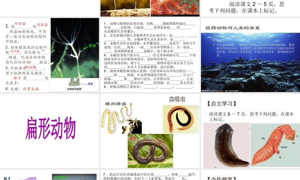 八年级生物上册 第五单元 第一章 动物的主要类群 第一节腔肠动物和扁形动物课件 （新版）新人教版