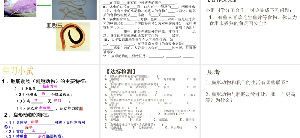 八年级生物上册 第五单元 第一章 动物的主要类群 第一节腔肠动物和扁形动物课件 （新版）新人教版