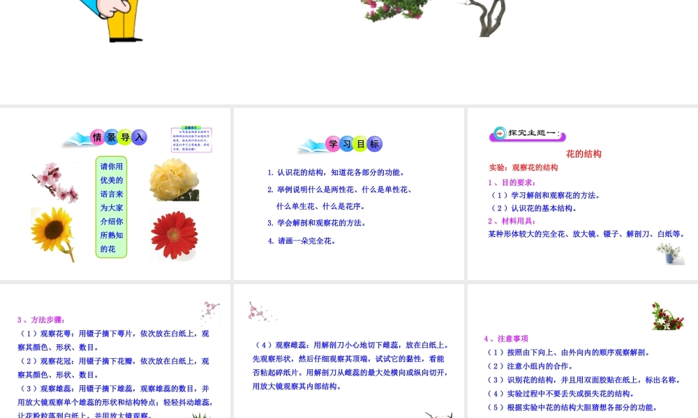八年级生物上册 第一章 第一节 花的结构和类型课件 济南版