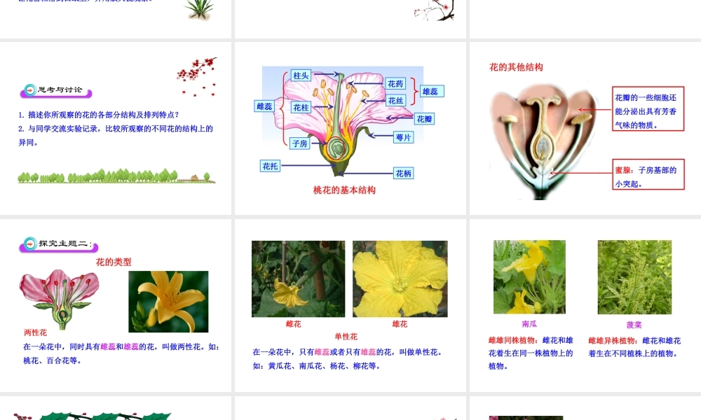 八年级生物上册 第一章 第一节 花的结构和类型课件 济南版