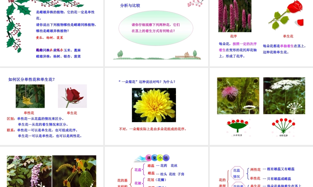 八年级生物上册 第一章 第一节 花的结构和类型课件 济南版