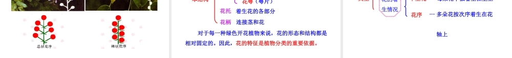 八年级生物上册 第一章 第一节 花的结构和类型课件 济南版