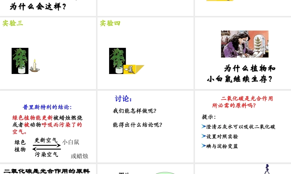 八年级生物上册 第6单元 第18章 第2节 绿色植物与生物圈中的碳-氧平衡课件2 （新版）苏科版-（新版）苏科版初中八年级上册生物课件