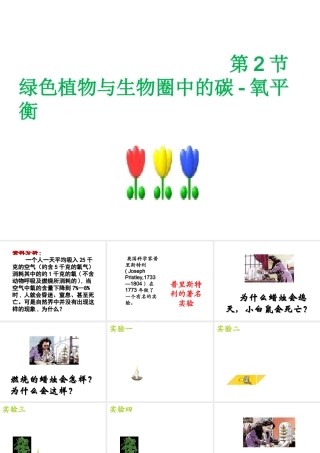八年级生物上册 第6单元 第18章 第2节 绿色植物与生物圈中的碳-氧平衡课件2 （新版）苏科版-（新版）苏科版初中八年级上册生物课件