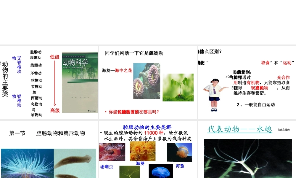 八年级生物上册 第五单元 第一章 第一节 腔肠动物和扁形动物课件3 （新版）新人教版