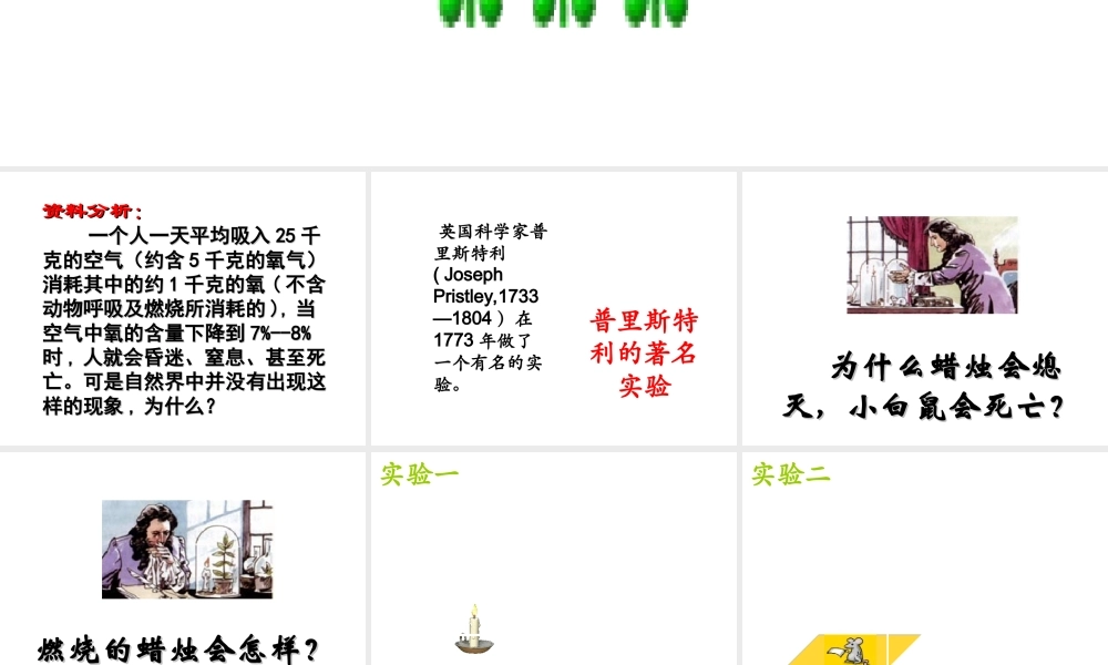 八年级生物上册 第6单元 第18章 第2节 绿色植物与生物圈中的碳-氧平衡课件2 （新版）苏科版-（新版）苏科级上册生物课件