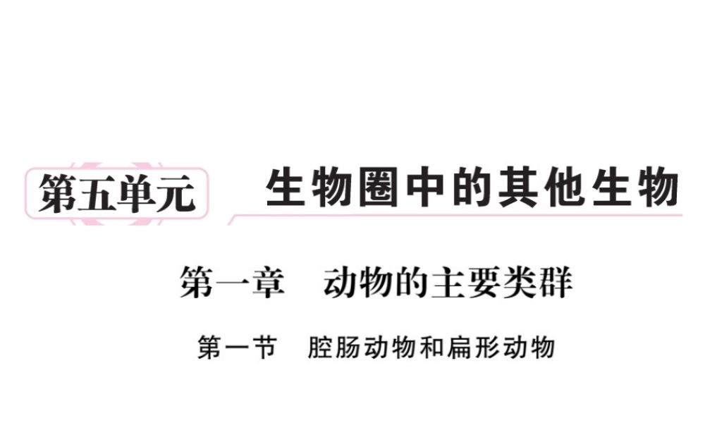 八年级生物上册 第五单元 第一章 第一节 腔肠动物和扁形动物习题课件 （新版）新人教版-（新版）新人教版初中八年级上册生物课件