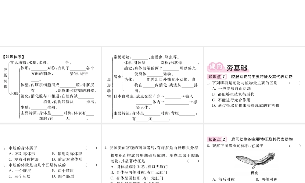八年级生物上册 第五单元 第一章 第一节 腔肠动物和扁形动物习题课件 （新版）新人教版-（新版）新人教版初中八年级上册生物课件