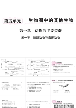 八年级生物上册 第五单元 第一章 第一节 腔肠动物和扁形动物习题课件 （新版）新人教版-（新版）新人教版初中八年级上册生物课件