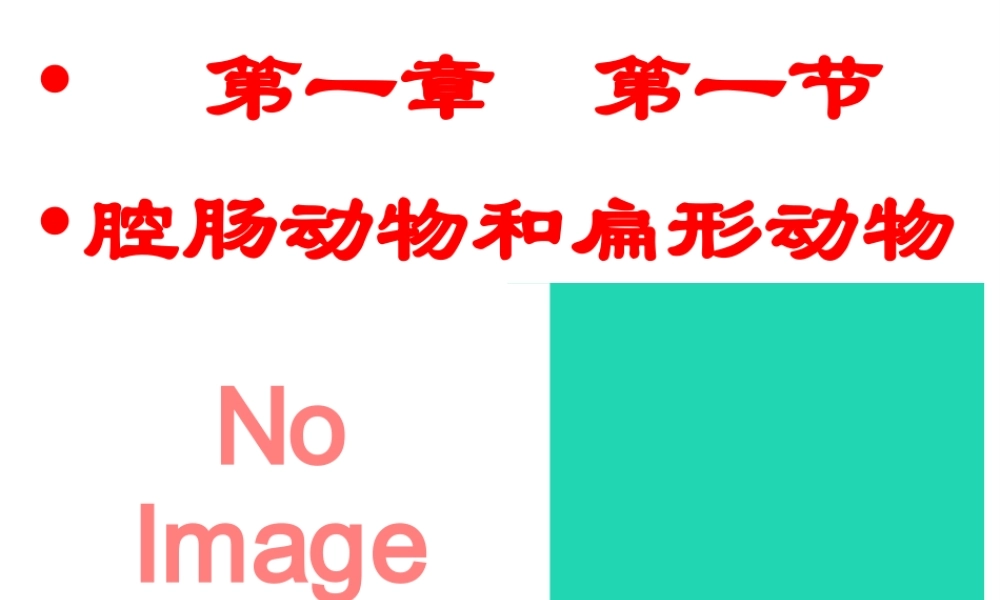 八年级生物上册 第一章 第一节 腔肠动物和扁形动物课件 （新版）新人教版-（新版）新人教版初中八年级上册生物课件