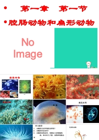 八年级生物上册 第一章 第一节 腔肠动物和扁形动物课件 （新版）新人教版-（新版）新人教版初中八年级上册生物课件