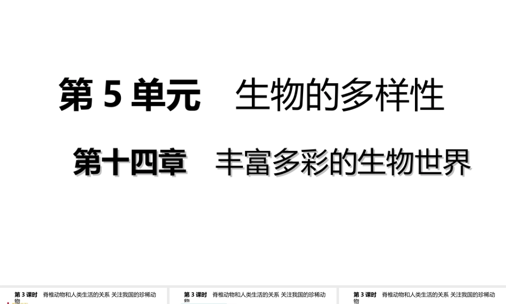 八年级生物上册 第十四章 第二节千姿百态的动物世界（第3课时 脊椎动物和人类生活的关系 关注我国的珍稀动物）课件 （新版）苏教版-（新版）苏教级上册生物课件