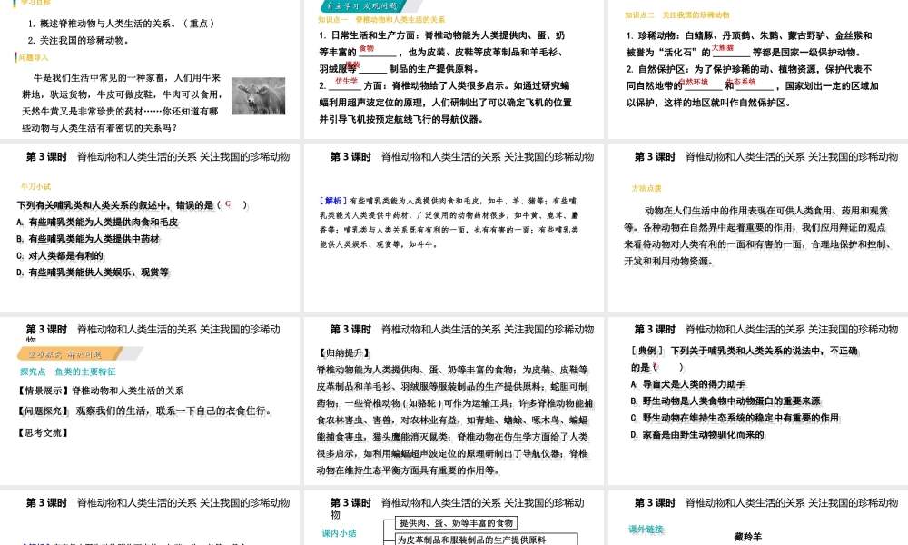 八年级生物上册 第十四章 第二节千姿百态的动物世界（第3课时 脊椎动物和人类生活的关系 关注我国的珍稀动物）课件 （新版）苏教版-（新版）苏教级上册生物课件