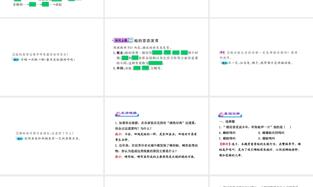 八年级生物上册 第十四章 第四节 两栖类的生殖与发育课件 苏教版
