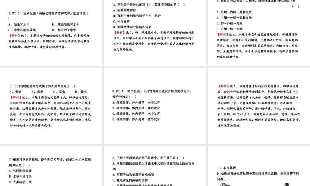 八年级生物上册 第十四章 第四节 两栖类的生殖与发育课件 苏教版