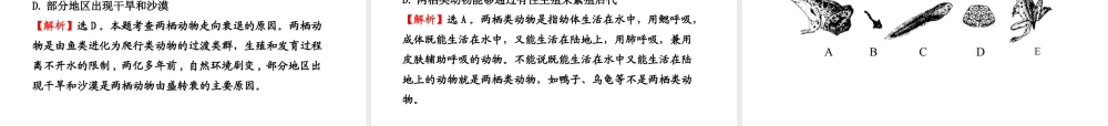 八年级生物上册 第十四章 第四节 两栖类的生殖与发育课件 苏教版