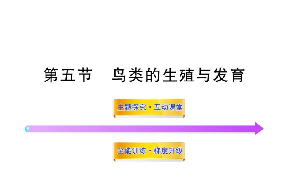 八年级生物上册 第十四章 第五节 鸟类的生殖与发育课件 苏教版