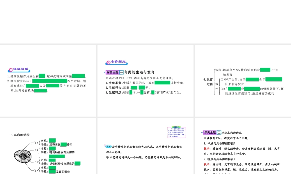 八年级生物上册 第十四章 第五节 鸟类的生殖与发育课件 苏教版