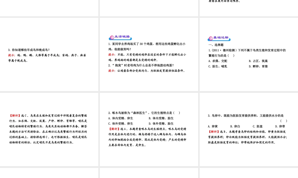 八年级生物上册 第十四章 第五节 鸟类的生殖与发育课件 苏教版