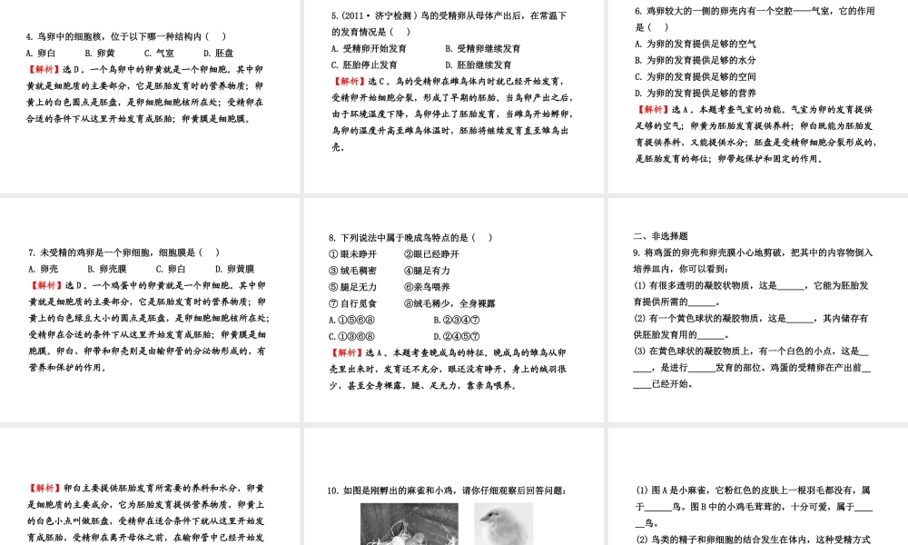 八年级生物上册 第十四章 第五节 鸟类的生殖与发育课件 苏教版