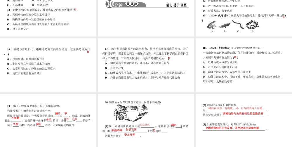 八年级生物上册 第五单元 生物圈中的其他生物 第一章 动物的主要类群第五节 两栖动物和爬行动物作业课件 （新版）新人教版-（新版）新人教版初中八年级上册生物课件