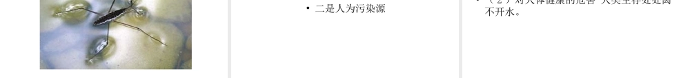 八年级生物上册 第一章 第一节 水中生活的动物课件 新人教版