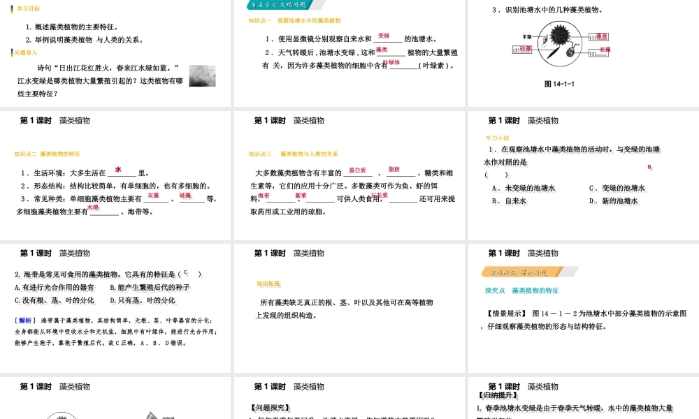 八年级生物上册 第十四章第一节五彩缤纷的植物世界（第1课时 藻类植物）课件 （新版）苏教版-（新版）苏教版初中八年级上册生物课件