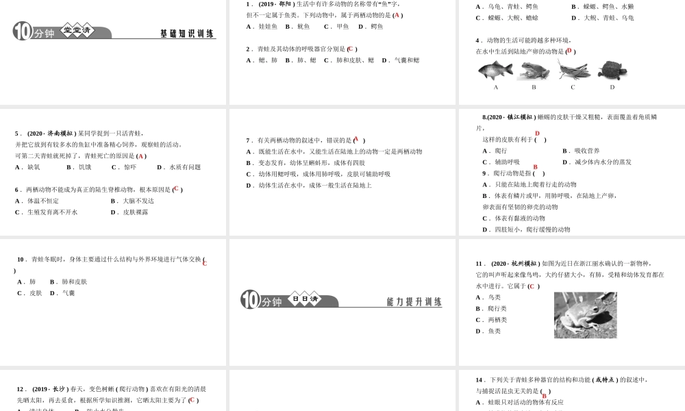 八年级生物上册 第五单元 生物圈中的其他生物 第一章 动物的主要类群第五节 两栖动物和爬行动物作业课件 （新版）新人教版-（新版）新人教级上册生物课件