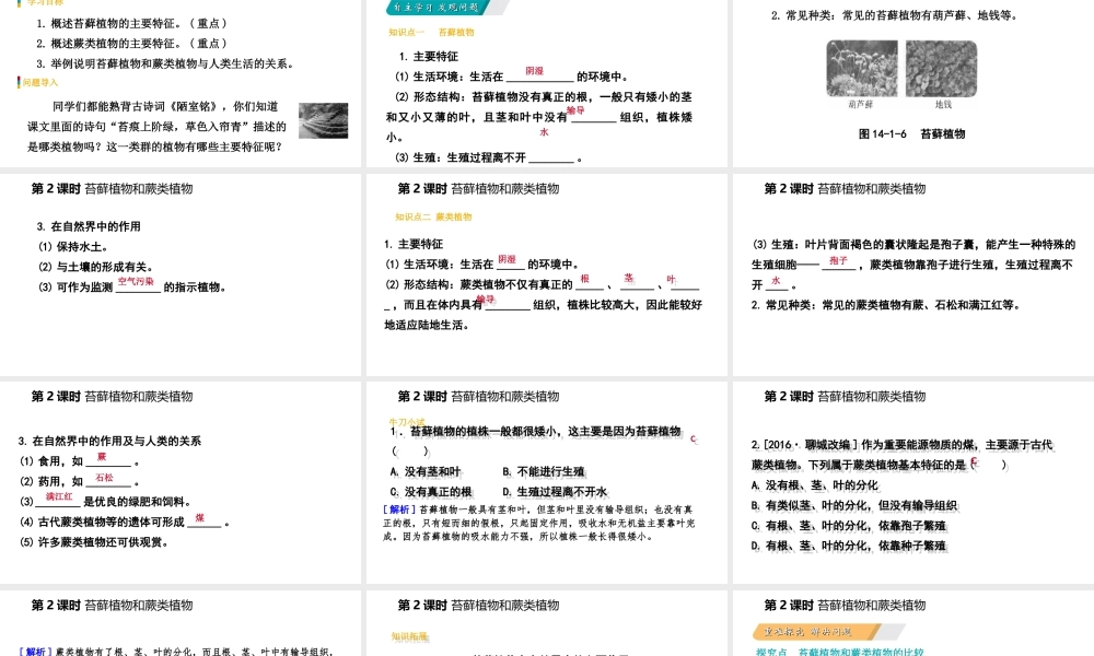 八年级生物上册 第十四章第一节五彩缤纷的植物世界（第2课时 苔藓植物和蕨类植物）课件 （新版）苏教版-（新版）苏教版初中八年级上册生物课件