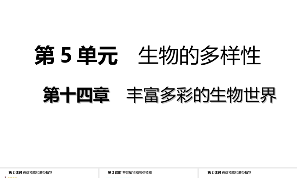 八年级生物上册 第十四章第一节五彩缤纷的植物世界（第2课时 苔藓植物和蕨类植物）课件 （新版）苏教版-（新版）苏教级上册生物课件
