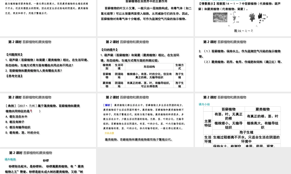 八年级生物上册 第十四章第一节五彩缤纷的植物世界（第2课时 苔藓植物和蕨类植物）课件 （新版）苏教版-（新版）苏教级上册生物课件