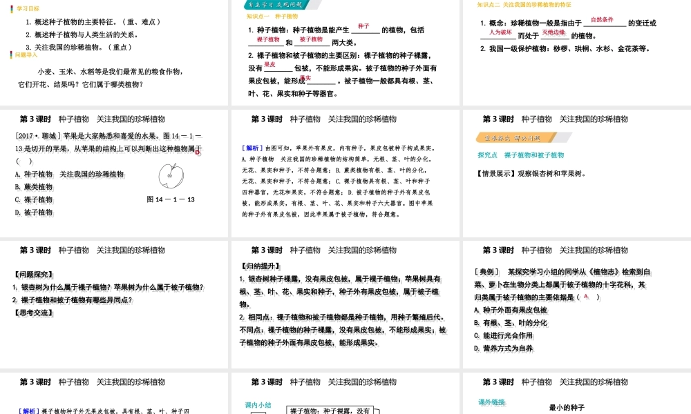 八年级生物上册 第十四章第一节五彩缤纷的植物世界（第3课时 种子植物 关注我国的珍稀植物）课件 （新版）苏教版-（新版）苏教级上册生物课件